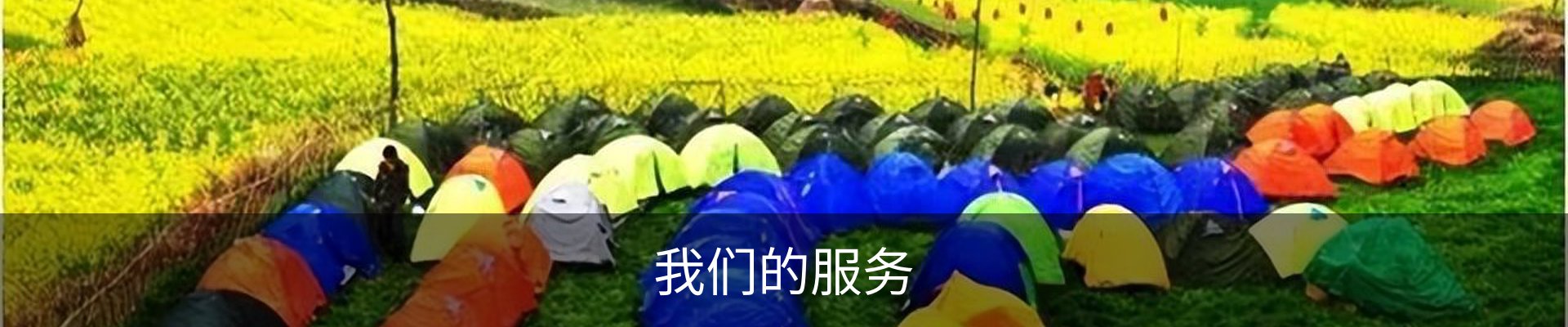 我们的服务